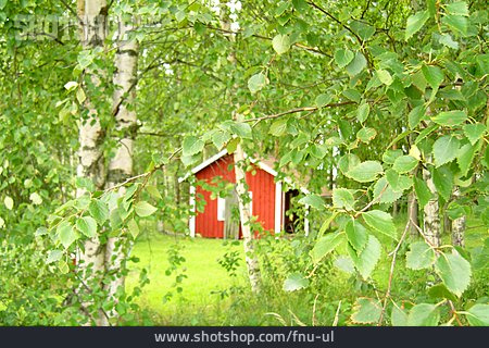 
                Holzhaus, Birke, Finnland                   
