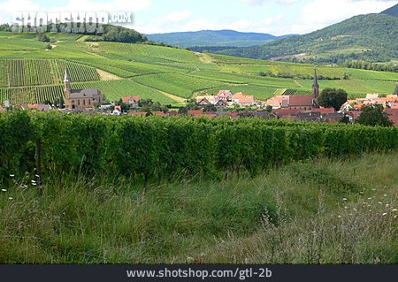 
                Dorf, Weinberg, Weinanbau                   
