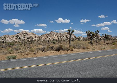 
                Wüste, Usa, Mojave-wüste                   