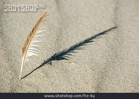 
                Strand, Sand, Feder                   