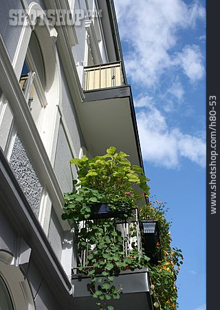 
                Balkon, Balkonpflanze, Begrünt                   