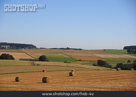 
                Landwirtschaft, Stoppelfeld                   