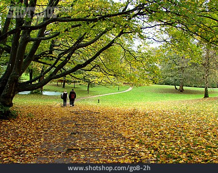 
                Park, Herbst, Herbstspaziergang                   