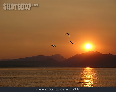 
                Sonnenaufgang, Gardasee                   