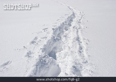 
                Winter, Schnee, Fußspur                   