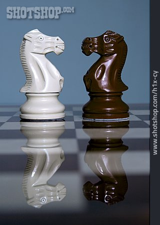 
                Pferd, Schach, Springer, Schachfigur                   