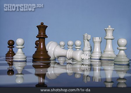 
                Schach, Schachspiel, Schachfigur                   