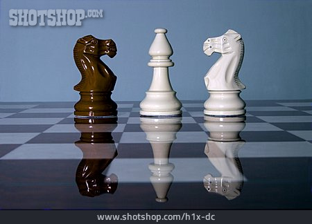 
                Schach, Läufer, Springer, Schachfigur                   