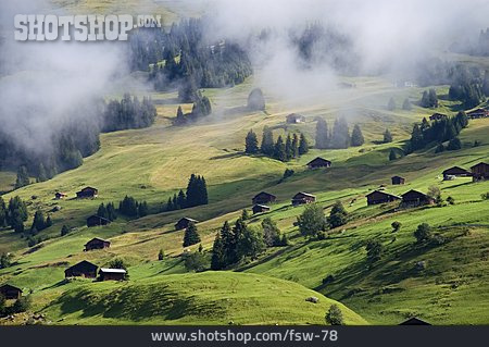 
                Nebel, Hütte, Nebelschwaden, Almdorf                   