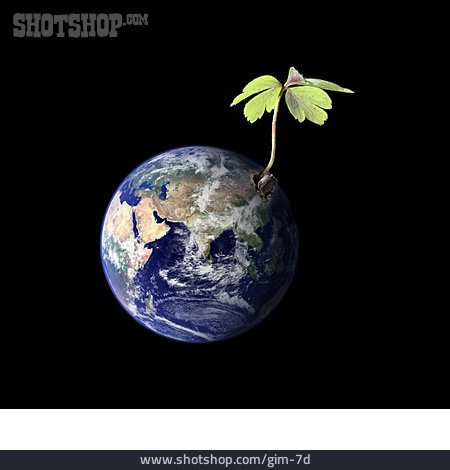 
                Erde, Umweltschutz, Globus                   