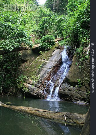 
                Wasserfall, Karibik, Tobago                   