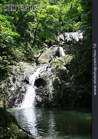 
                Wasserfall, Karibik, Tobago                   