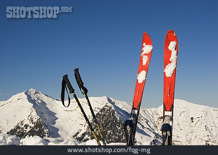 
                Winter Sport, Ski                   
