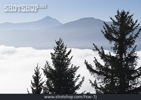 
                Natur, Baum, Gebirge, Nebel                   