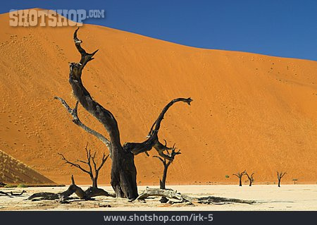 
                Wüste, Afrika, Namibia, Sossusvlei                   