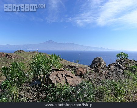 
                Teneriffa, Kanarische Inseln, Teide                   