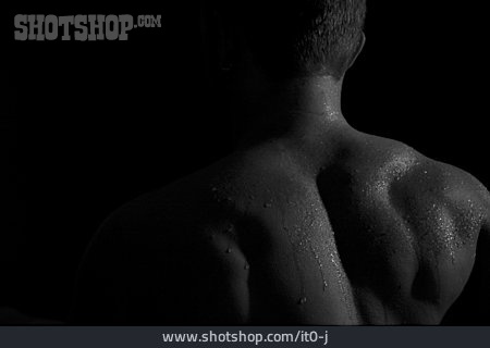 
                Akt, Rücken, Muskulös, Bodybuilder                   