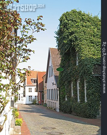 
                Schleswig, Fassadenbegrünung                   