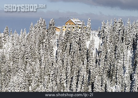 
                Wald, Winter, Berghütte                   