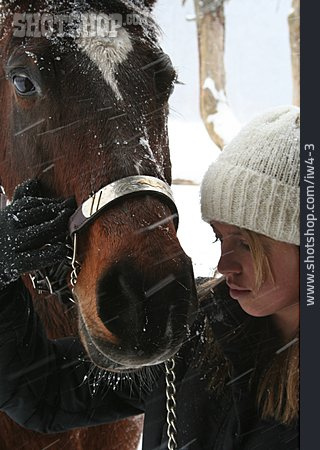 
                Freundschaft, Winter, Pferd, Vertrauen                   