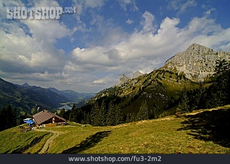 
                Gebirge, Tirol, Schneetalalm, Tannheimer Tal                   