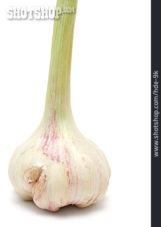 
                Knoblauch, Knoblauchknolle                   