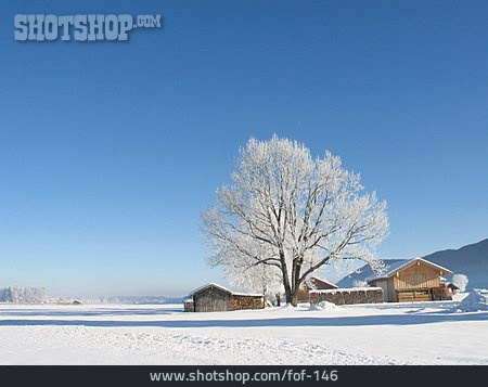 
                Winter, Allgäu                   