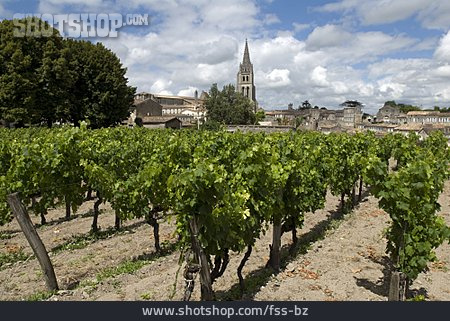 
                Bordeaux, Weinanbau                   