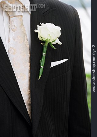 
                Rose, Hochzeit, Krawatte, Bräutigam                   