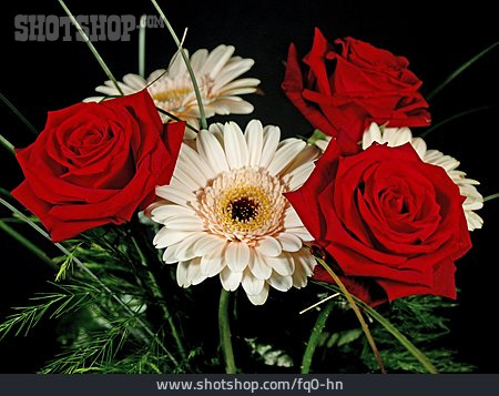 
                Rose, Blumenstrauß, Gerbera                   