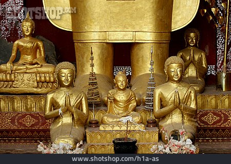 
                Tempel, Gold, Statue, Buddha                   