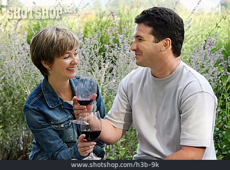 
                Wein, Romantisch, Picknick, Anstoßen                   