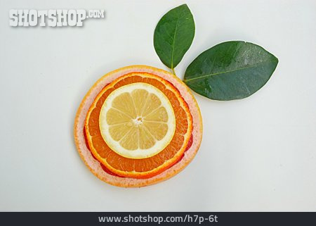 
                Südfrucht, Zitronenscheibe, Orangenscheibe, Pampelmusenscheibe                   