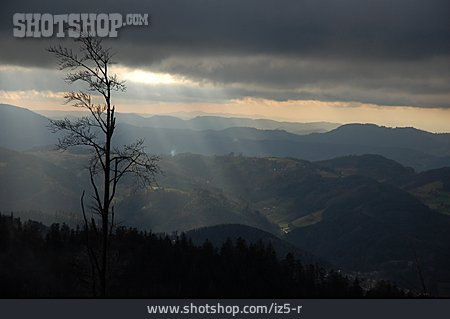 
                Landschaft, Sonnenlicht, Schwarzwald                   