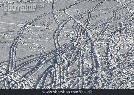 
                Schnee, Spur, Skispur                   