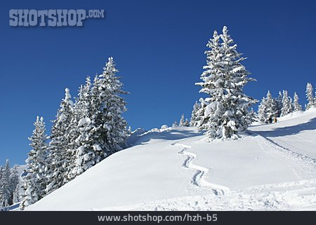 
                Winter, Schneespur, Skipiste                   