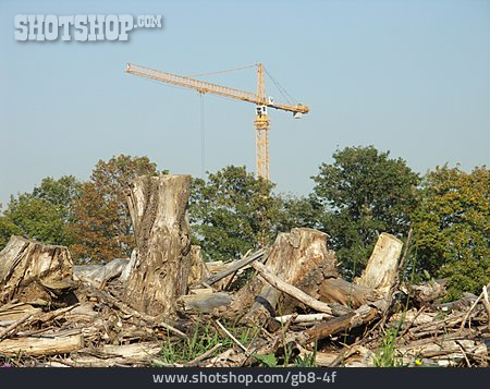 
                Umweltzerstörung, Baukran, Baumstumpf                   