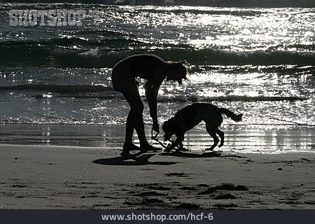 
                Junge Frau, Hund, Strandspaziergang                   