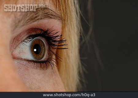 
                Auge, Iris, Pupille, Regenbogenhaut                   