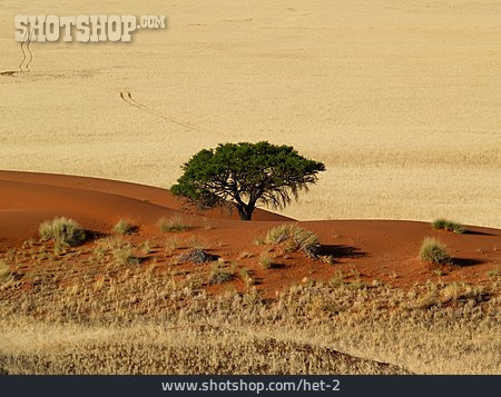
                Landschaft, Wüste, Namibwüste                   