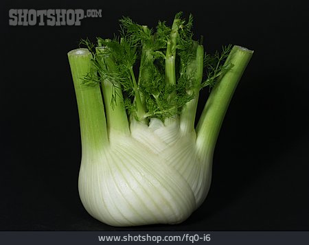 
                Fenchel                   