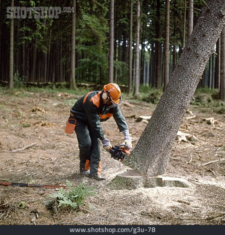 
                Waldarbeiter, Baumfällen                   