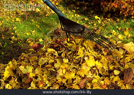 
                Herbstlaub, Harke, Gartenarbeit                   