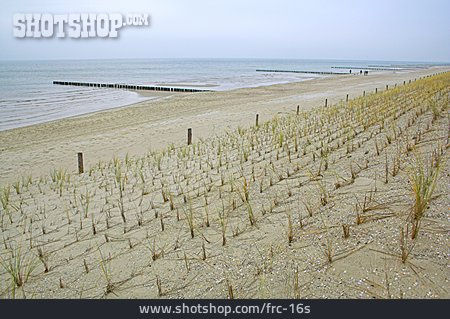 
                Strand, Ostsee, Küstenschutz                   