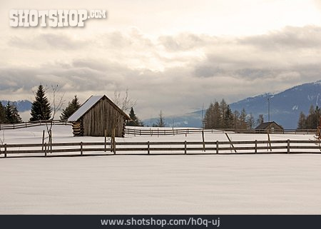 
                Winter, Snow, Alpine Foreland                   
