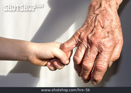 
                Hand, Alter, Generation                   