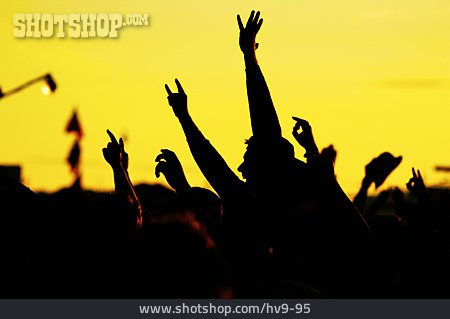 
                Concert, Audience, Ecstatic, Outdoors Event                   
