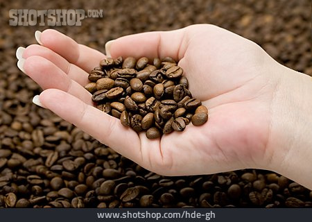 
                Kaffee, Hand, Kaffeebohnen                   