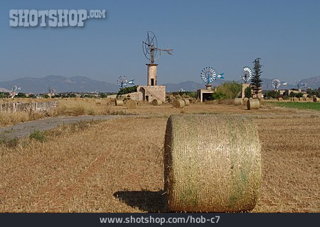 
                Feld, Landwirtschaft, Mallorca                   