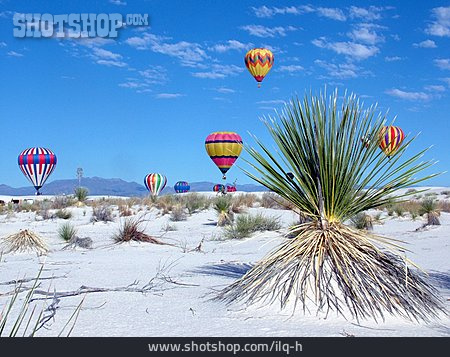
                Wüste, Heißluftballon, Ballon, New Mexico, Soap Tree Yucca                   